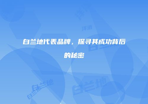 白兰地代表品牌，探寻其成功背后的秘密