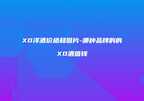 X0洋酒价格和图片-哪种品牌的的X0酒值钱