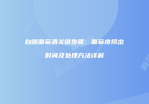 自酿葡萄酒关键步骤：葡萄皮捞出时间及处理方法详解