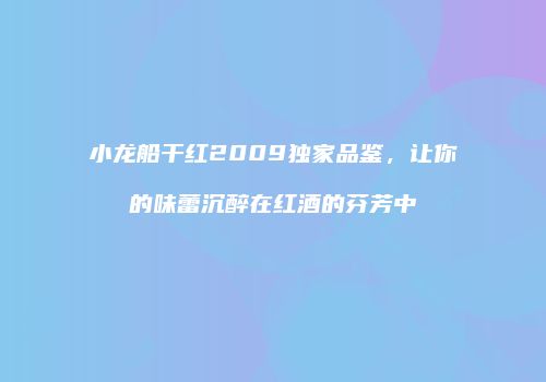 小龙船干红2009独家品鉴，让你的味蕾沉醉在红酒的芬芳中