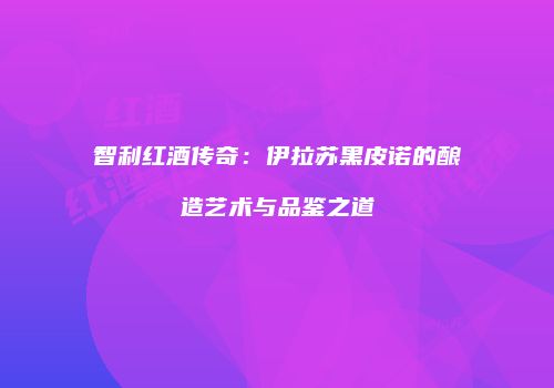 智利红酒传奇：伊拉苏黑皮诺的酿造艺术与品鉴之道