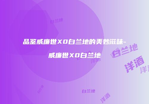 品鉴威廉世X0白兰地的美妙滋味-威廉世X0白兰地