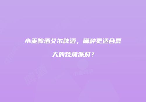 小麦啤酒艾尔啤酒，哪种更适合夏天的烧烤派对？