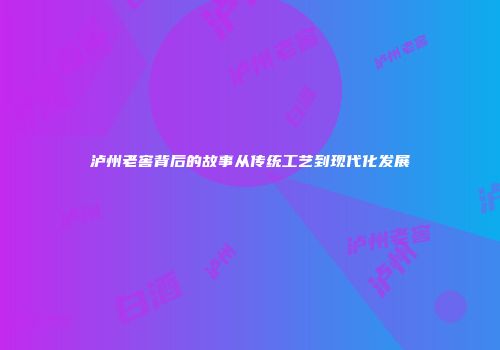 泸州老窖背后的故事从传统工艺到现代化发展