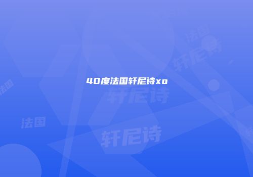 40度法国轩尼诗xo