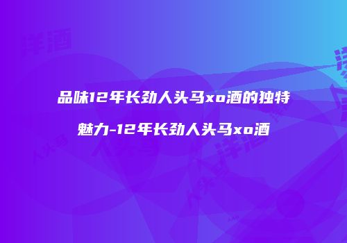 品味12年长劲人头马xo酒的独特魅力-12年长劲人头马xo酒