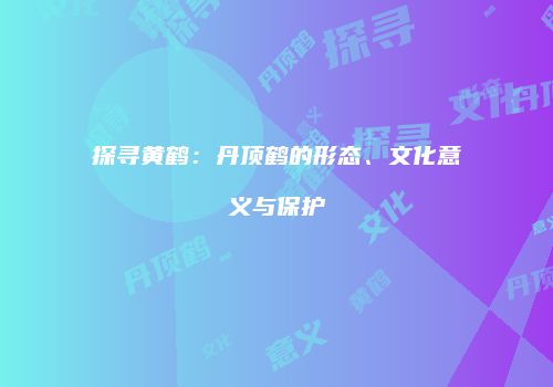 探寻黄鹤：丹顶鹤的形态、文化意义与保护