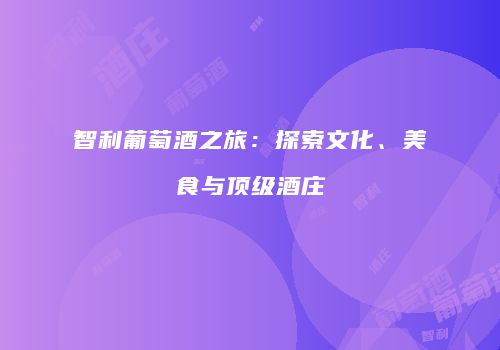 智利葡萄酒之旅：探索文化、美食与顶级酒庄