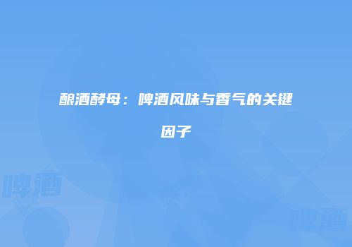 酿酒酵母：啤酒风味与香气的关键因子
