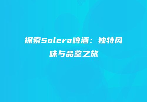 探索Solera啤酒：独特风味与品鉴之旅