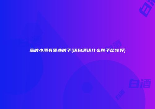 品牌小酒有哪些牌子(送白酒送什么牌子比较好)