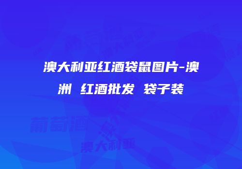 澳大利亚红酒袋鼠图片-澳洲 红酒批发 袋子装