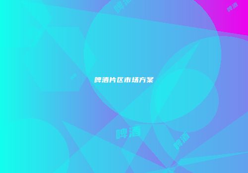 啤酒片区市场方案