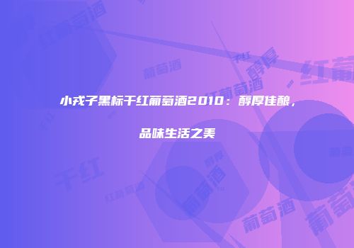 小戎子黑标干红葡萄酒2010：醇厚佳酿，品味生活之美