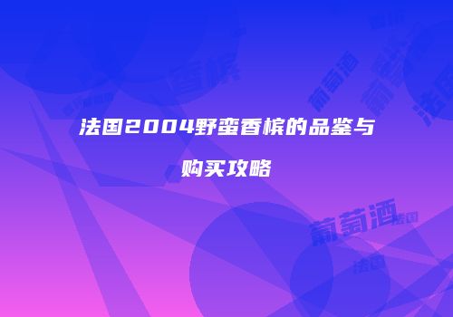 法国2004野蛮香槟的品鉴与购买攻略