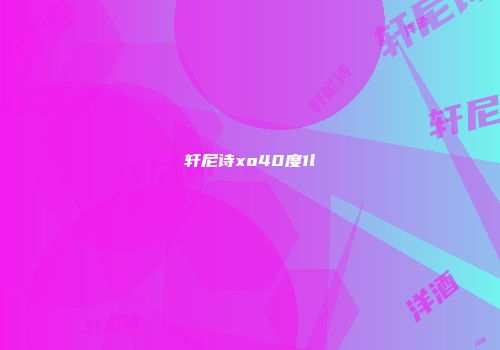 轩尼诗xo40度1l