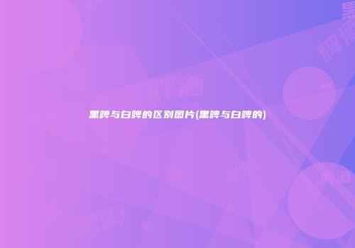 黑啤与白啤的区别图片(黑啤与白啤的)