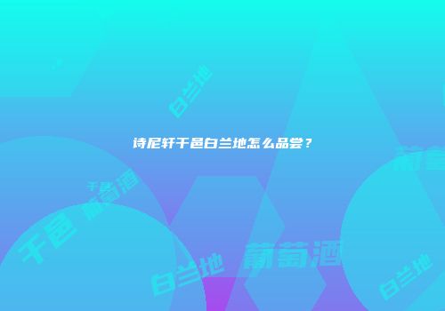 诗尼轩干邑白兰地怎么品尝？