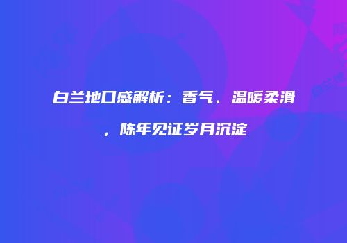白兰地口感解析：香气、温暖柔滑，陈年见证岁月沉淀