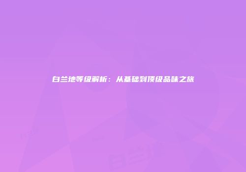 白兰地等级解析：从基础到顶级品味之旅