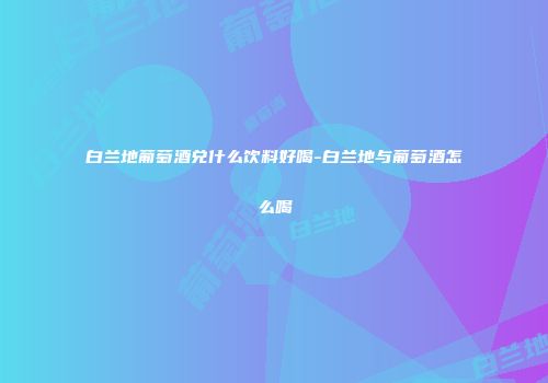 白兰地葡萄酒兑什么饮料好喝-白兰地与葡萄酒怎么喝
