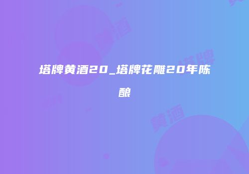 塔牌黄酒20_塔牌花雕20年陈酿