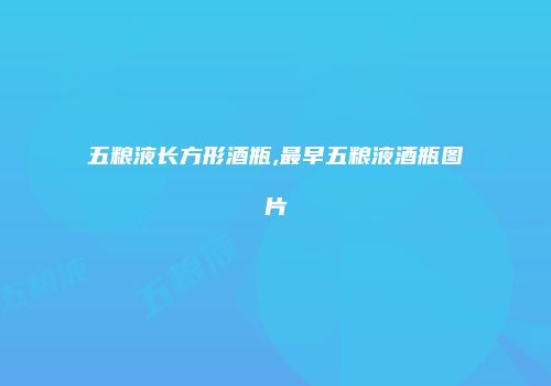 五粮液长方形酒瓶,最早五粮液酒瓶图片