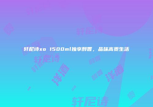 轩尼诗xo 1500ml独享醇香，品味高贵生活