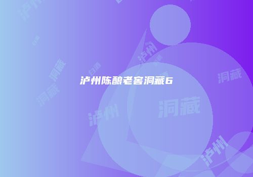 泸州陈酿老窖洞藏6