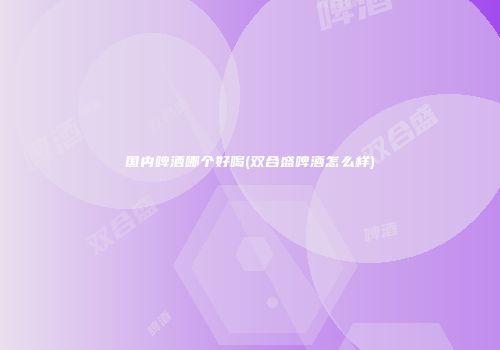 国内啤酒哪个好喝(双合盛啤酒怎么样)