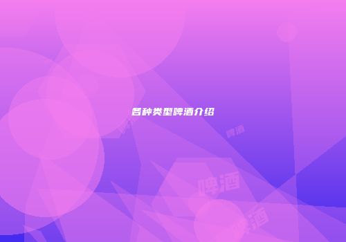 各种类型啤酒介绍