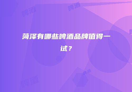 菏泽有哪些啤酒品牌值得一试？