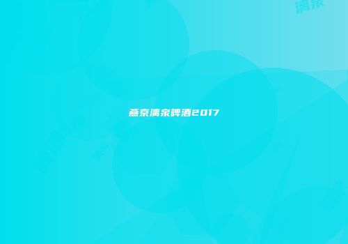 燕京漓泉啤酒2017