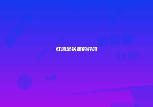 红酒是铁盖的好吗