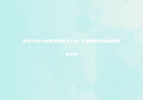 燕京大国小鲜啤酒加盟怎么样_全国精酿啤酒加盟哪家最多