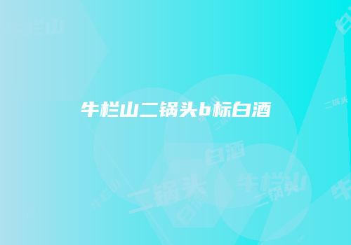 牛栏山二锅头b标白酒