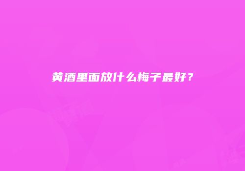 黄酒里面放什么梅子最好？