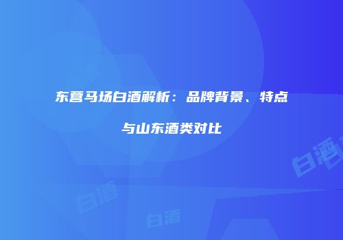 东营马场白酒解析：品牌背景、特点与山东酒类对比