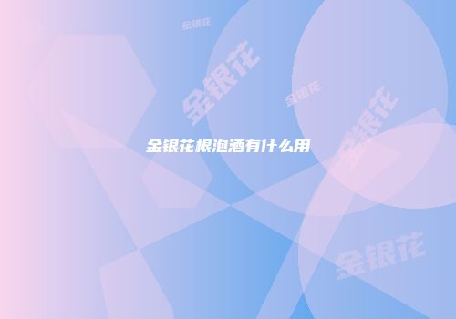 金银花根泡酒有什么用
