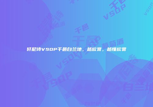 轩尼诗VSOP干邑白兰地，越欣赏，越懂欣赏