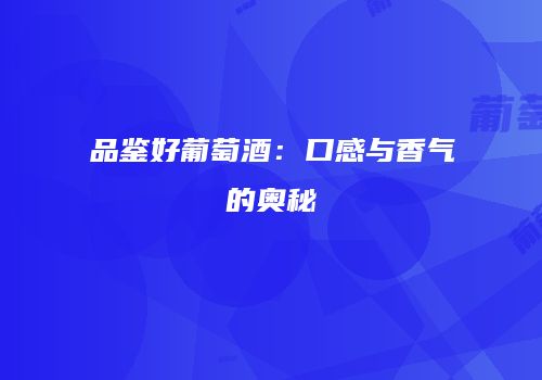 品鉴好葡萄酒：口感与香气的奥秘
