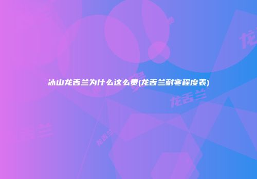 冰山龙舌兰为什么这么贵(龙舌兰耐寒程度表)