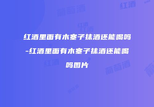 红酒里面有木塞子抹酒还能喝吗-红酒里面有木塞子抹酒还能喝吗图片