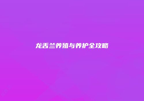 龙舌兰养殖与养护全攻略