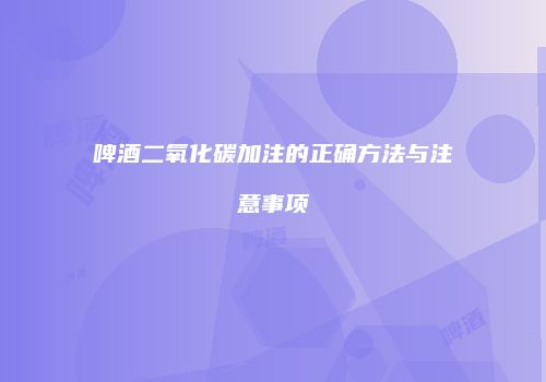 啤酒二氧化碳加注的正确方法与注意事项
