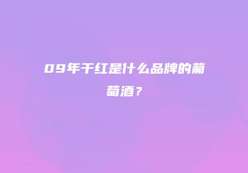 09年干红是什么品牌的葡萄酒？