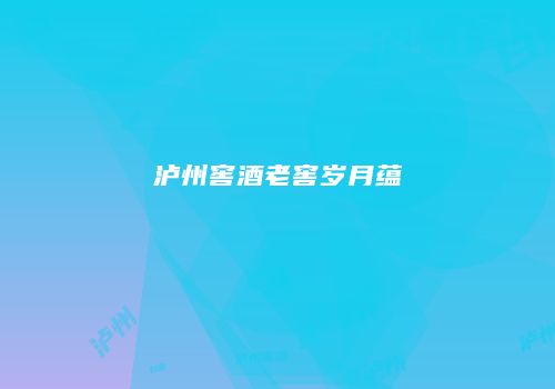 泸州窖酒老窖岁月蕴