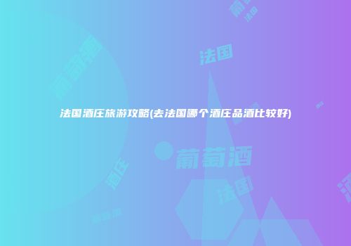 法国酒庄旅游攻略(去法国哪个酒庄品酒比较好)