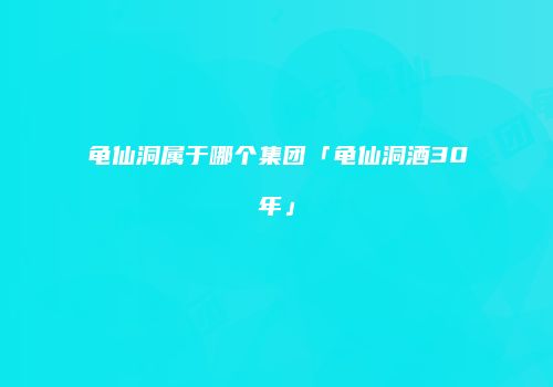龟仙洞属于哪个集团「龟仙洞酒30年」