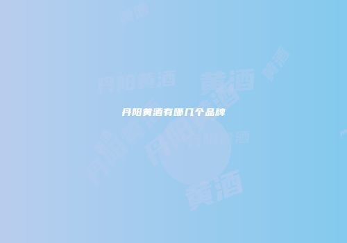 丹阳黄酒有哪几个品牌